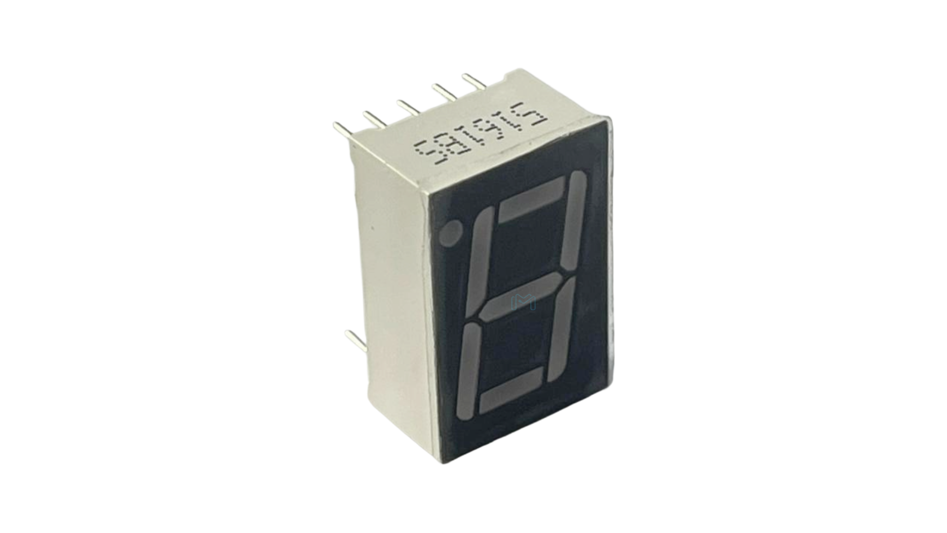 5161BS
