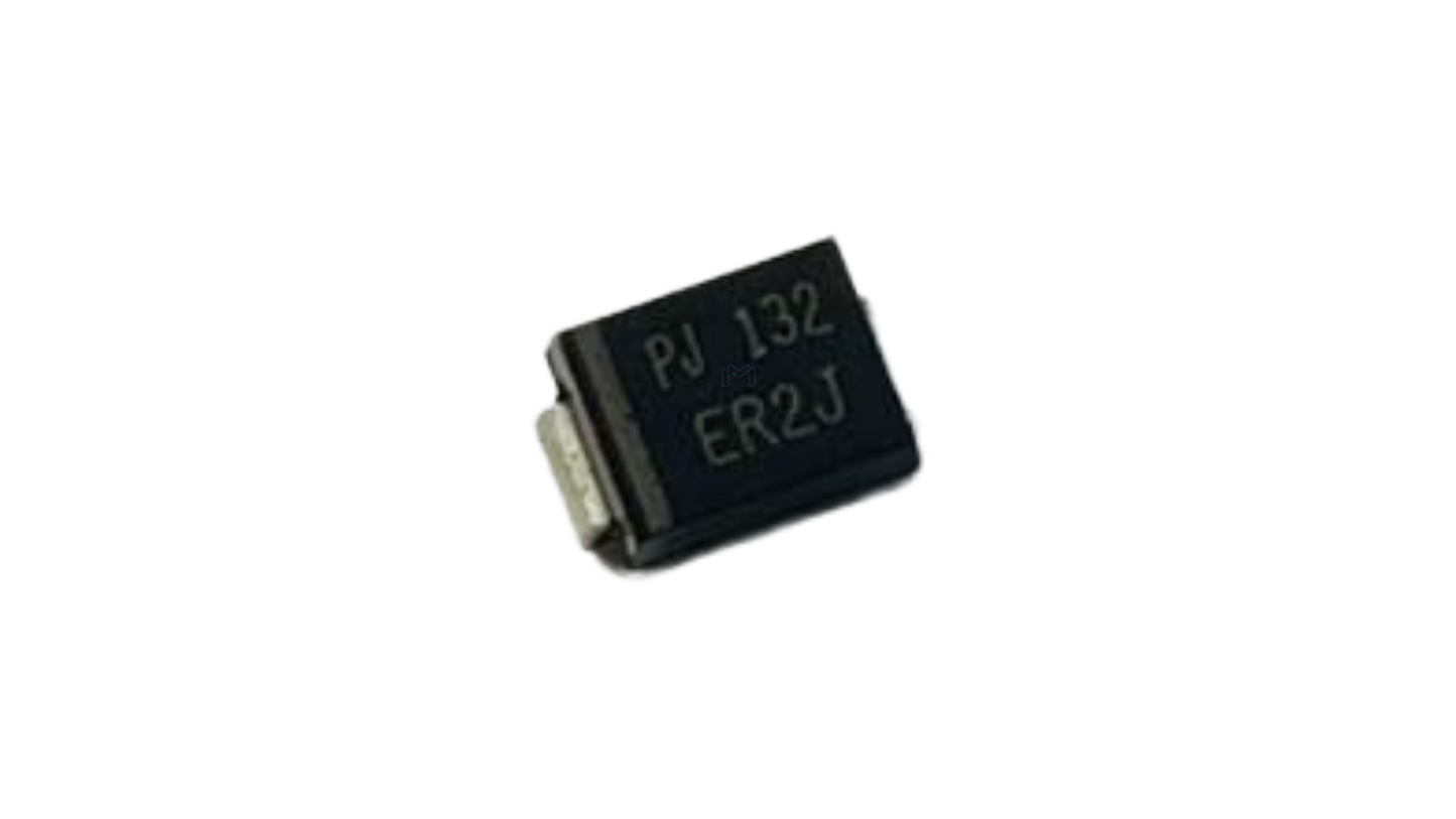 ER2J