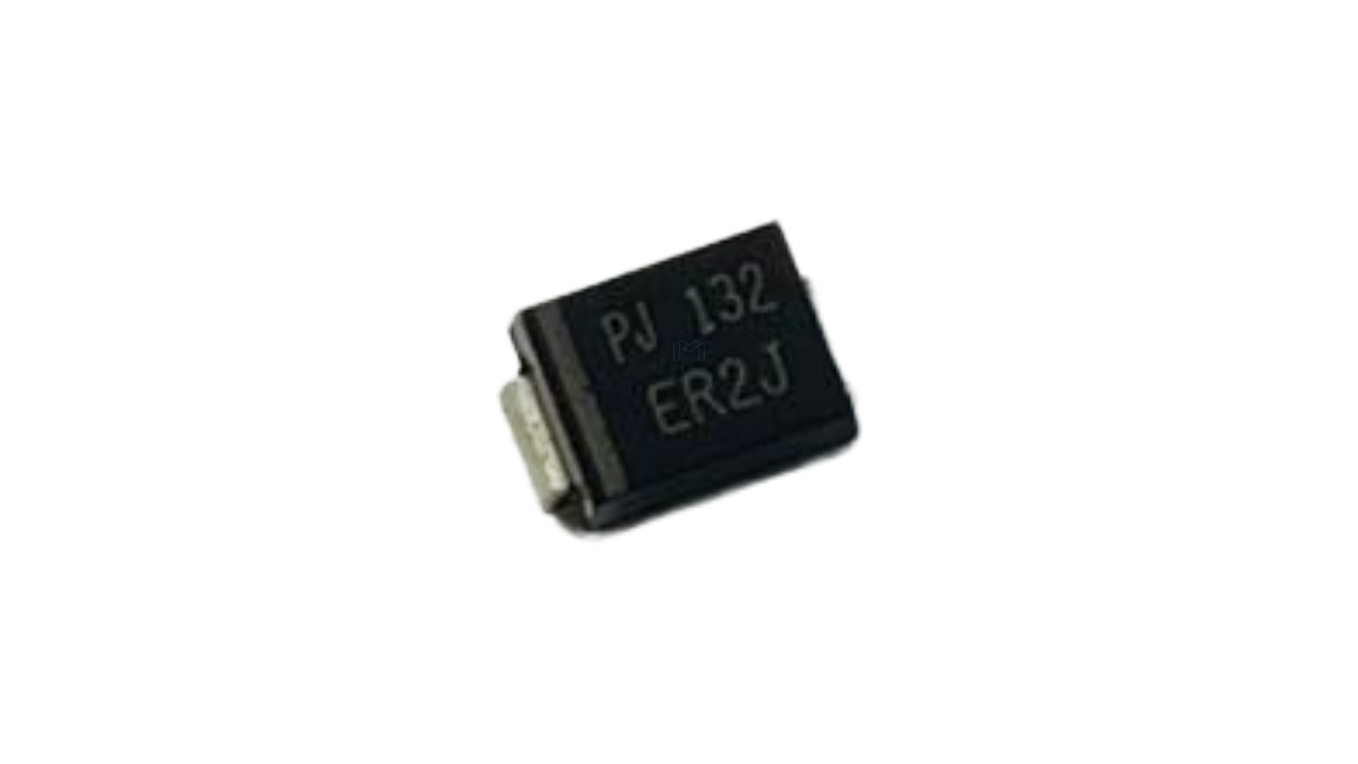 ER2J