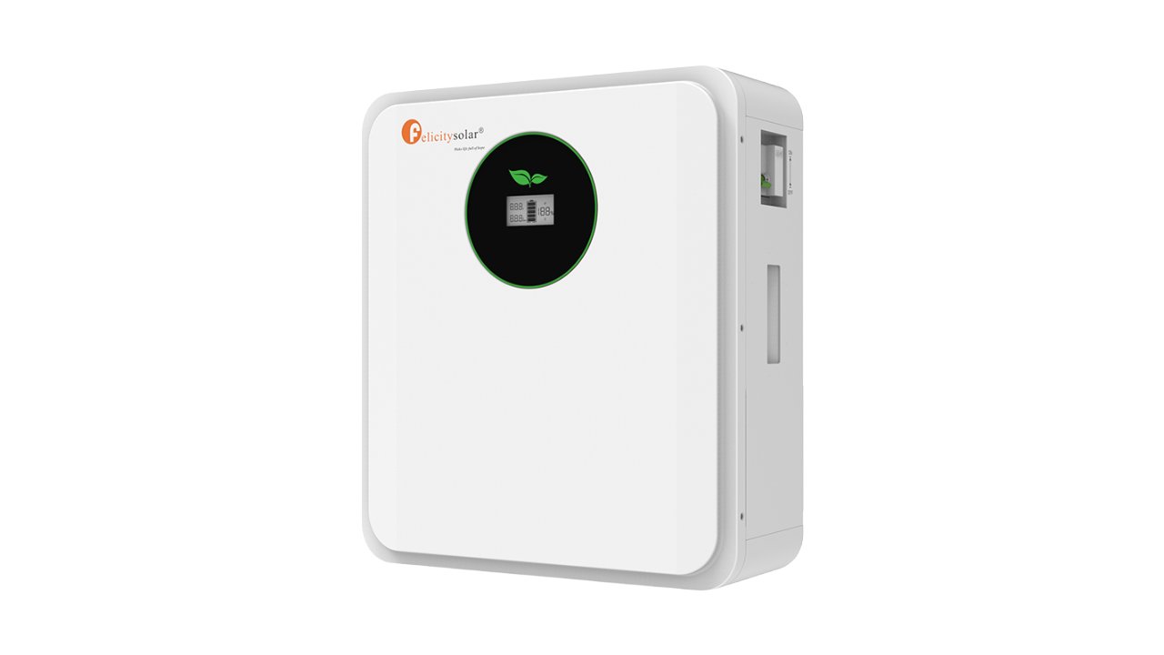FLA24100 Battery
