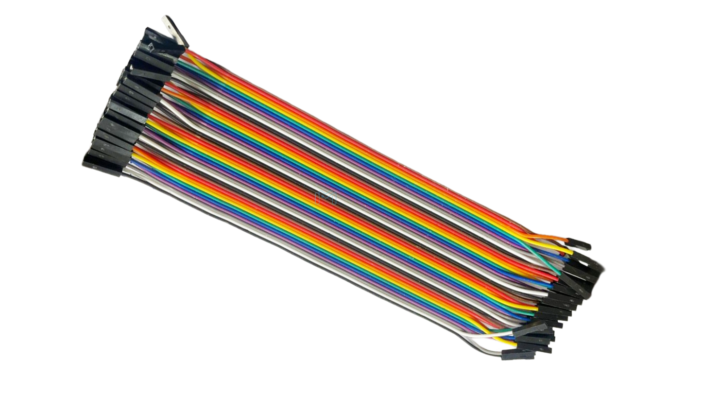 Female to Female Dupont line 40Pins 20cm 2.54mm