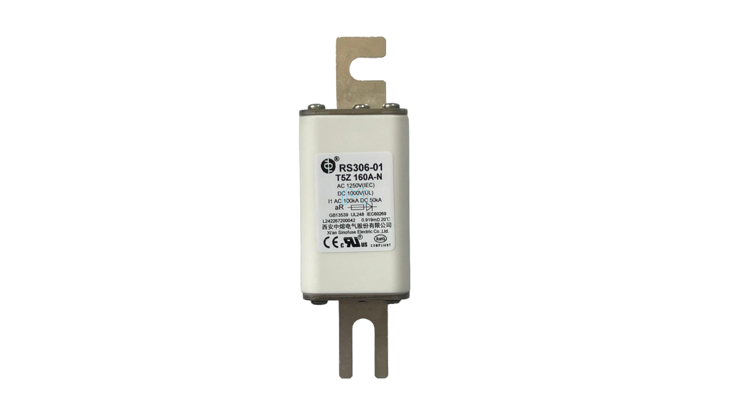 RS306-01 Fuse