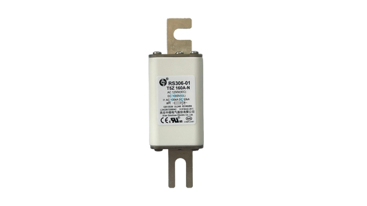 RS306-01 Fuse