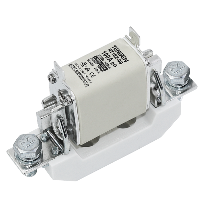 RT16Z-00 | AC FUSE 100A 3pcs/box