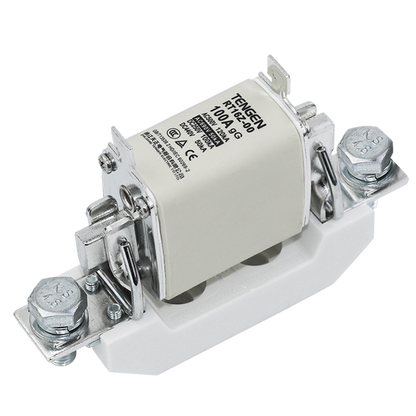 RT16Z-00 | AC FUSE 100A 3pcs/box